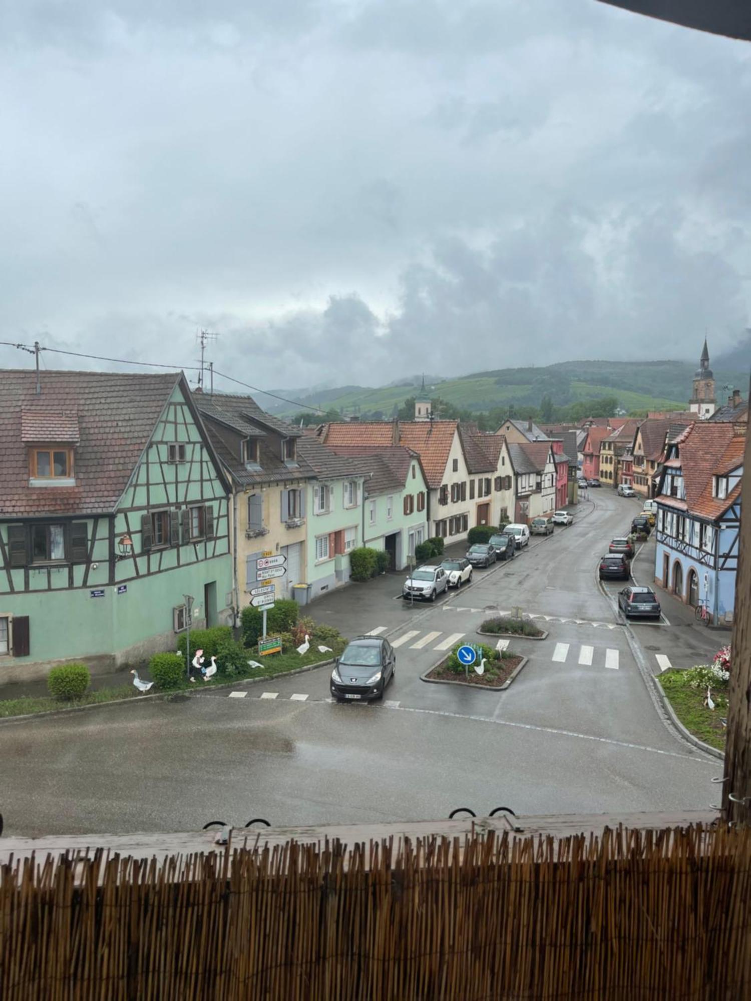 Appartement Centre Alsace Gertwiller Extérieur photo